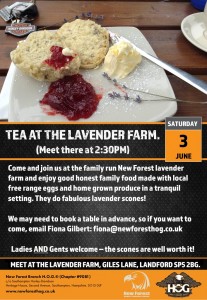 Tea At The Lavender Farm - 3rd June 2017