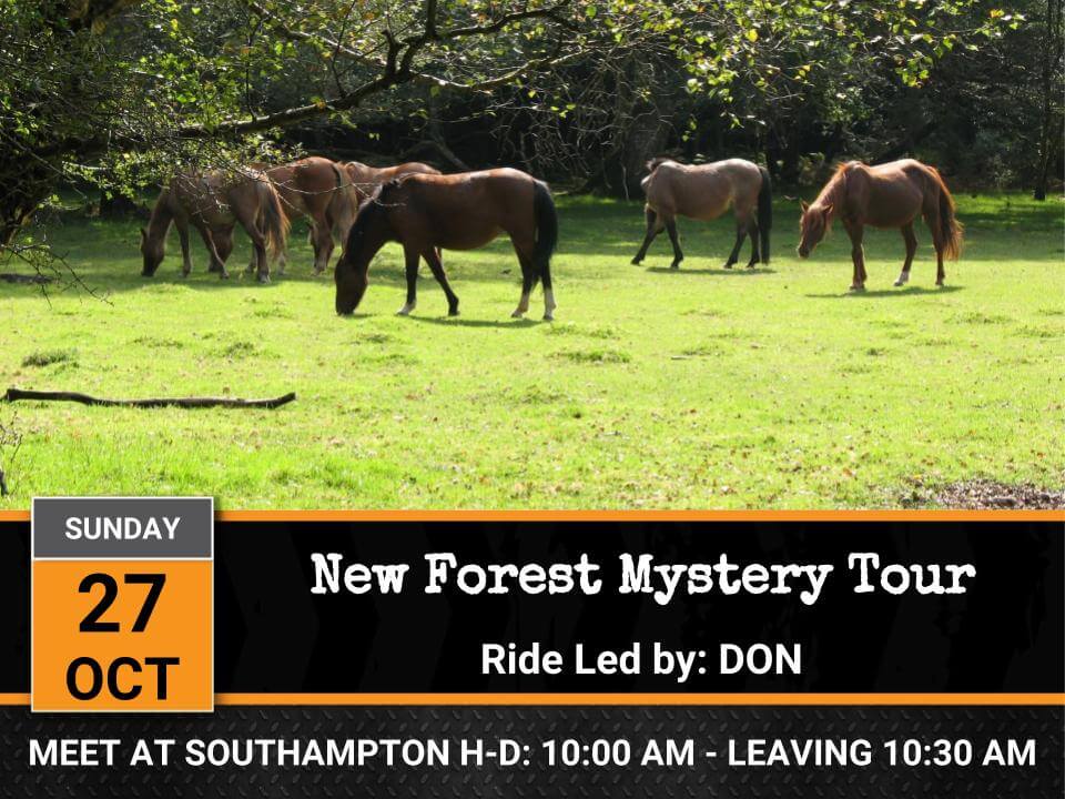 New Forest Mystery Tour