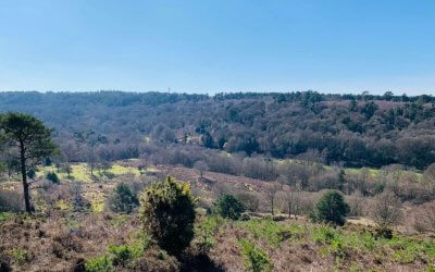 Devils Punch Bowl Hotel 4th May